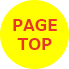 PAGE TOP